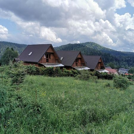 Jeleni Skok Apartment Cisna Cameră foto